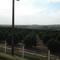 rodovia Araras-Conchal