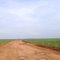 Estrada Vicinal Araras - Engenheiro Coelho – Araras, 2009
