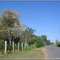estrada chapadinha - Foto: Fábio Barros  (www.cidade3d.uniblog.com.br)