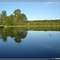 Reserva florestal de Itapetininga -  Foto: Fábio Barros (www.cidade3d.uniblog.com.br)