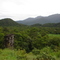 Vista do Sertão do Una e PESM - Barra do Una