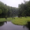 Pocotaligo River @ Rd 50