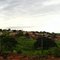 pasto