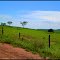 Colina - Bairro Tremembé.