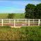 Haras São José E Centro De Treinamento - Nova Europa  SP.