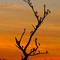 Por do Sol