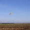 Avião pulverizando defensivo agrícola sobre canavial