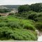 Ribeirão do Agudo e ao fundo a Fábrica da Brejeiro em Orlândia