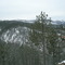 The Hills of Piedmont Feb. 2009