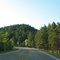 Curve before SD 44