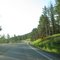 Whispering Pines ahead