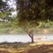 Rancho Revoada das Garças