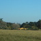 Fazenda em Pedranopolis