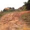 Trilha da Pedra da Bacia: bifurcação para Pedra Redonda em frente