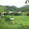 Arapei - SP