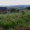 Vista do Vale do Rio Pardo e ao fundo a Fazenda Amália e a cidade de Santa Rosa de Viterbo no horizonte