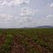 Gaviões voando e ao fundo as lindas montanhas desta região