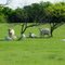 Blonds in the neighborhood out sunbathing, copyright 2010 by John C Karjanis