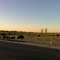 Grazing cows in winter evening, Ponder, Texas
