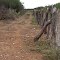 Entrada na BR