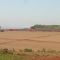 Agricultura