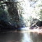Rio Pardo - mata ciliar - município de Itatinga - sp