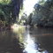 Rio Pardo - mata ciliar - município de Itatinga - sp