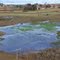 Lago Castelo -Itatinga