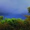Storm on the Forest ( Summer in Brazil = Everyday Heavy Rains)