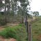 porteira da florestal