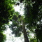 Mata Serra D'água, Ariró, Angra dos Reis