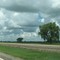 Trees at 393rd