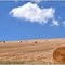 Campos de Dakota del Sur
