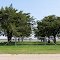 Union Cemetery