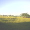 Sitio bonjardim