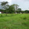 área rural