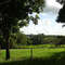 área rural