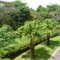 Cela São José