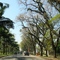 Av. da Universidade - Cidade Universitária/USP- Butantã, São Paulo, SP, Brasil.