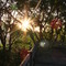 Brasil, São Paulo - Pôr do sol na Pça Valdir Azevedo