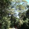 Parque Estadual da Cantareira