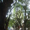 Batatais Str.
