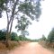Estrada de Santa Luzia – Santo Antônio do Jardim, 2009