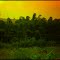 Cores Da Natureza.