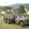  SITIO DOS BRANDALISE  EM TAIAÇUPEBA SP CHEVROLET D60 ANO 71 6X6 MILITAR