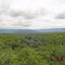 Manguezal com Serra do Mar ao Fundo - Itanhaém - Brasil
