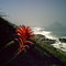 Paredãozinho ou poço do maimbá - Recreio dos Bandeirantes - Rio de Janeiro - Brasil