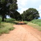 Carreira de Pés de Jaca