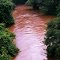Rio São Lourenço - Rodovia Tabatinga Itápolis
