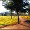 Parque São Benedito.